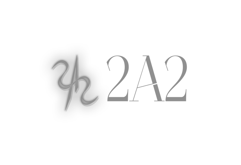 2a2